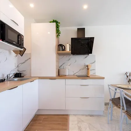 公寓 1-br Renovated Near Croisette